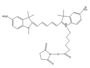  Sulfo-CY5-NHS ester 