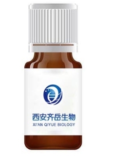 304O13，1566559-80-5，一种可生物降解的脂质