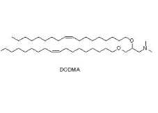 DODMA，1,2-二油醇-3-二甲基氨基丙烷