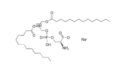 二肉豆蔻酰磷脂酰丝氨酸（钠盐）DMPS(Na)，CAS:105405-50-3，1,2-二肉豆蔻酰基-sn-甘油-3-磷酸-L-丝氨酸(钠盐)