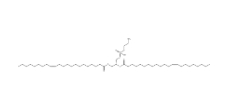 1,2-二芥酰-sn-甘油-3-磷脂酰乙醇胺（PE(22:1(13E)/22:1(13E))）,	CAS:904304-57-0
