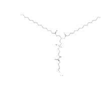 DPPE-PEG3000，CAS:474922-84-4
