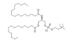 1-Myristoyl-2-palmitoyl-sn-glycero-3-phosphocholine，CAS:69525-80-0，1-肉豆蔻酰基-2-棕榈酰基卵磷脂