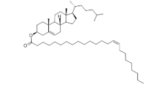 Cholesterol nervonate，CAS:60758-73-8，胆固醇神经氨酸盐