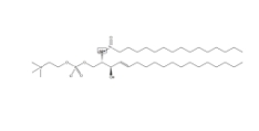 N-Palmitoyl-D-sphingomyelin-13C，CAS:144236-99-7，N-棕榈酰-D-鞘磷脂-13C