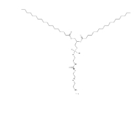 DSPE-PEG-Amine, MW 10000 ammonium，CAS:474922-26-4，1,2-二硬脂酰基-sn-甘油-3-磷酸乙醇胺-N-[氨基(聚乙二醇)-2000](铵盐)