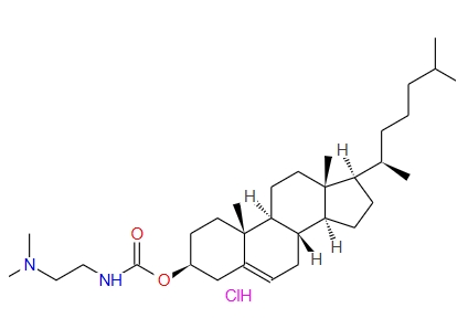 DC-Chol，阳离子脂质