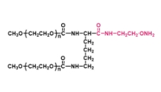2-arm PEG-OA,两臂聚乙二醇氧胺 2-arm PEG-OA,两臂聚乙二醇氧胺