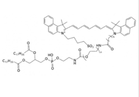 ICG-PEG-DSPE，吲哚菁绿-聚乙二醇-磷脂成像探针，荧光成像