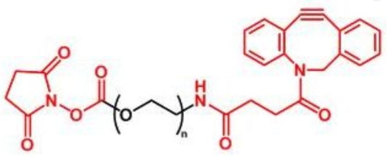 NHS-PEG-DBCO，活性酯聚乙二醇环辛炔双官能团PEG.png