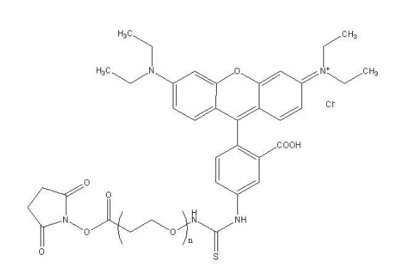 NHS-PEG-RB，NHS-PEG-Rhodamine，活性酯聚乙二醇罗丹明