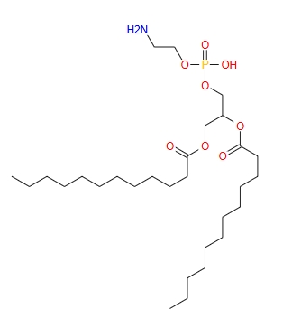 FITC-PEG-DLPE，荧光素-聚乙二醇-磷脂，CAS号42436-56-6