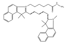 CAS：2280971-80-2，Cy5.5-hydrazide