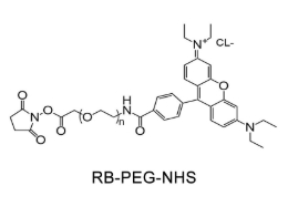 RB-PEG-NHS，活性酯聚乙二醇罗丹明