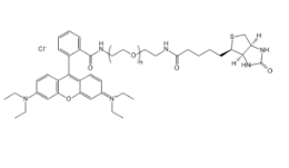 RB-PEG-BIOTIN，罗丹明聚乙二醇生物素