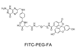 FITC-PEG-FA，叶酸聚乙二醇荧光素