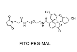FITC-PEG-MAL，荧光素聚乙二醇马来酰亚胺