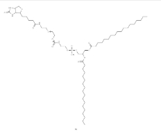 DSPE-PEG-Biotin，磷脂聚乙二醇生物素，CAS号385437-57-0.png