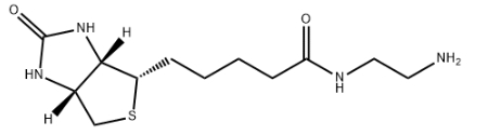 Biotin-NH2，生物素-乙二胺