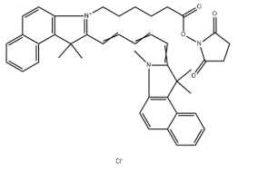 Cyanine5.5 NHS ester，CY5.5-活性酯，CAS号1469277-96-0