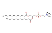 1,2-二十二酰基-sn-glycero-3-胆碱磷酸(DLPC),18194-25-7 1,2-二十二酰基-sn-glycero-3-胆碱磷酸(DLPC),18194-25-7