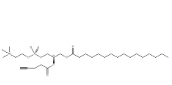 1-棕榈酰基-2-炔丙基乙酰酰磷脂酰胆碱，1353897-91-2
