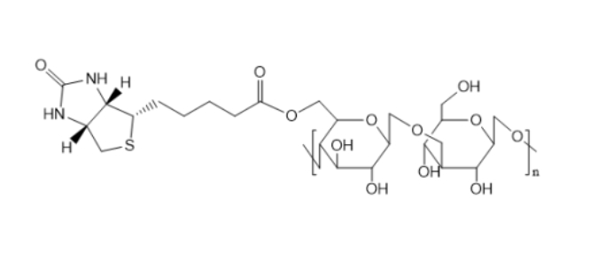 Dextran-Biotin，葡聚糖-生物素