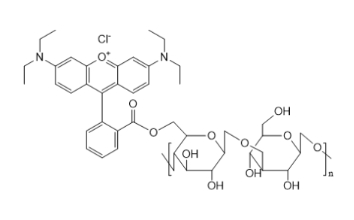 Dextran-RB，葡聚糖-罗丹明，葡聚糖衍生物