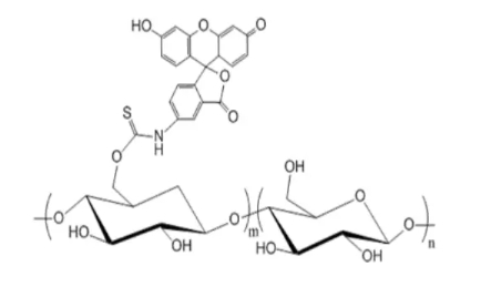 Dextran-FITC,FITC修饰葡聚糖 Dextran-FITC,FITC修饰葡聚糖