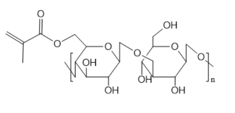 Dextran-MA，甲基丙烯化葡聚糖，功能化衍生物