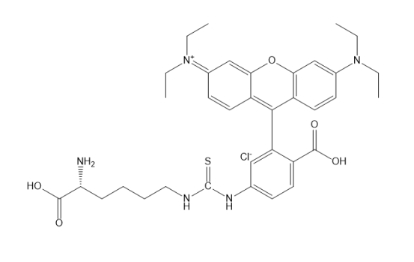 RB-Lys，罗丹明标记D赖氨酸，荧光氨基酸衍生物