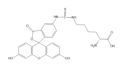 FITC-D-Lys，荧光素标记赖氨酸