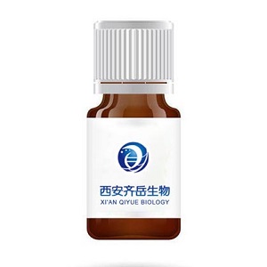 FITC-sucrose，荧光素标记蔗糖