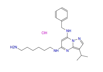 BS-181 hydrochloride,CAS号1397219-81-6 BS-181 hydrochloride,CAS号1397219-81-6