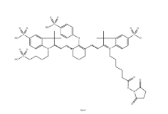 CY7-NHS，Cyanine7 NHS ester，Cy7-琥珀酰亚胺酯的基本信息