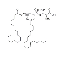 二硬酯酰磷脂酰丝氨酸钠(&nbsp;DSPS)，321595-13-5