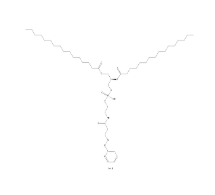 DPPE-PDP，474944-16-6