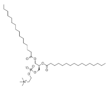 二棕榈酰磷脂酰胆碱( DPPC), 63-89-8 二棕榈酰磷脂酰胆碱( DPPC), 63-89-8