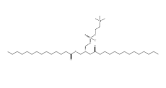 二肉豆蔻酰磷脂酰胆碱（DMPC)，18194-24-6