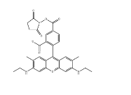 CAS：209112-21-0；5-羧基罗丹明6G琥珀酰亚胺酯；5-CR6G, SE