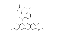 CAS号：98181-63-6；5(6)-TAMRA；5(6)-羧基四甲基罗丹明