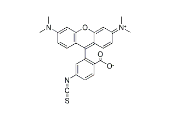 5(6)-TRITC 四甲基罗丹明-5(6)-异硫氰酸 CAS号：95197-95-8