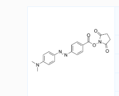 CAS号：146998-31-4；DABCYL SE；4-[4-(二甲基氨基)苯偶氮]苯甲酸 N-丁二酰亚胺酯