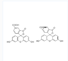5(6)-FAM；5(6)-羧基荧光素；CAS号：72088-94-9