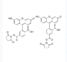 5(6)-FAM, SE；5(6)-羧基荧光素琥珀酰亚胺酯；CAS号：117548-22-8