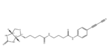 APN-C3-biotin 