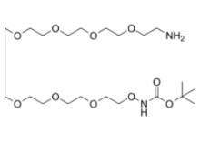 	t-Boc-Aminooxy-PEG7-amine	 