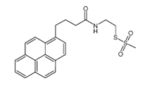 甲硫基磺酸2-[3-(1-吡啶基)丙基甲酰胺基]乙酯	 