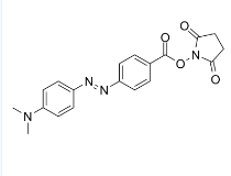 CAS号：146998-31-4；DABCYL SE；4-[4-(二甲基氨基)苯偶氮]苯甲酸 N-丁二酰亚胺酯