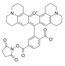 6-羧基-X-罗丹明琥珀酰亚胺酯 